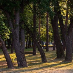 Парк «Старая Кубань»