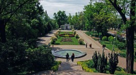Куда сходить с детьми в Краснодаре: парки, музеи и театры
