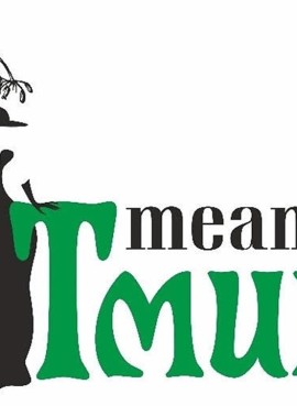 Театр «ТМИН»